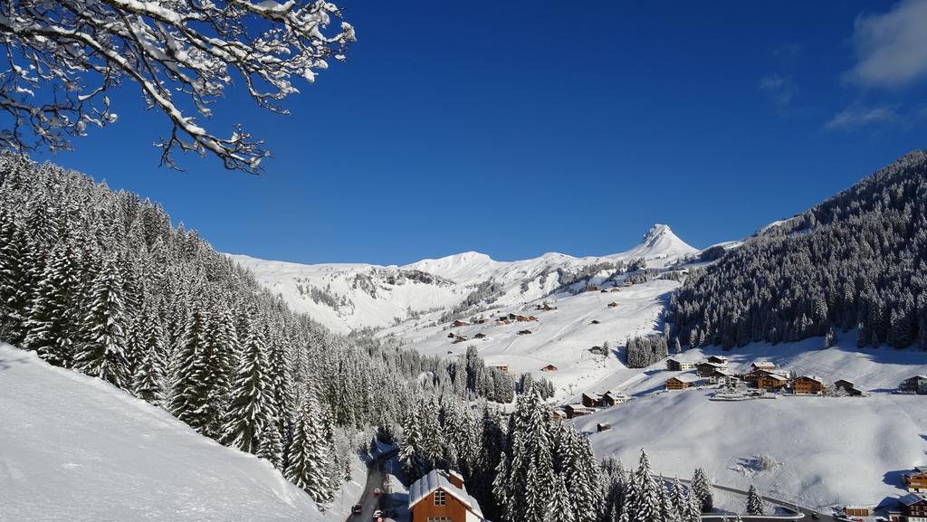 Pension Edelweiss Дамюльс Екстер'єр фото